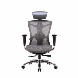 Ergonomic Chair ERC-01 (Sihoo V1)