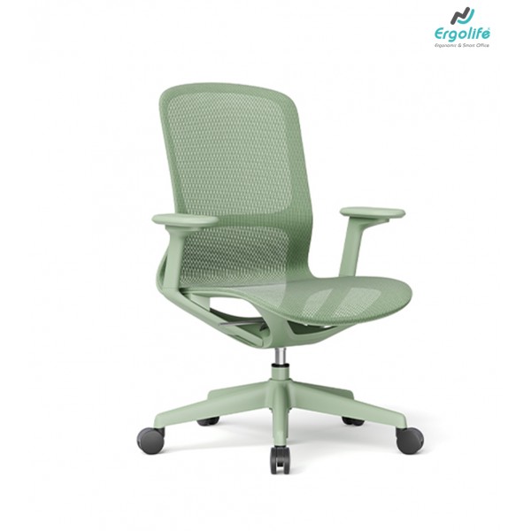 Ghế Công Thái Học CH-589