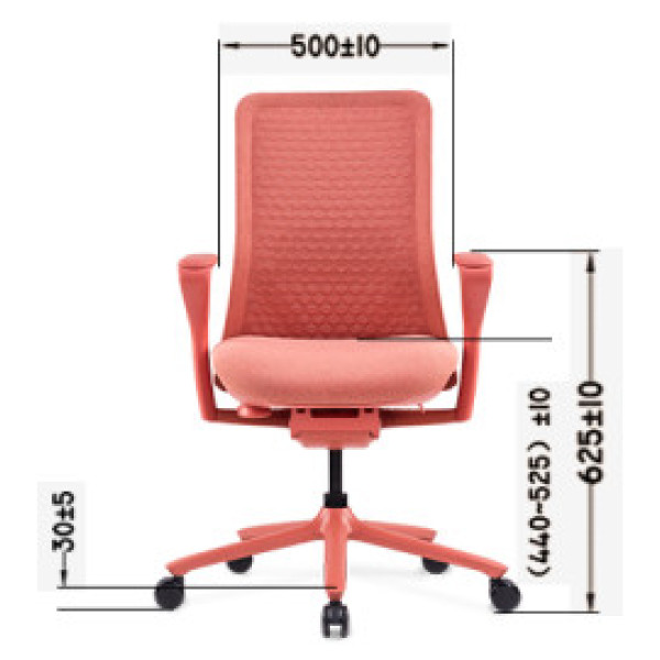 Ghế Công Thái Học Cao Cấp Goodtone Poly