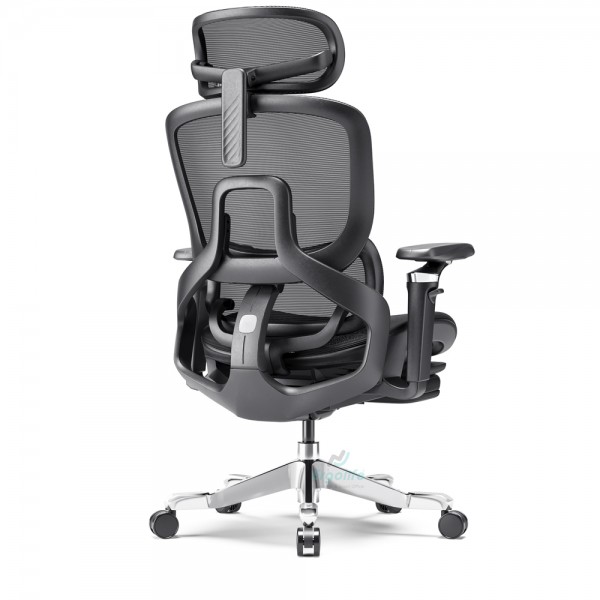Ghế Công Thái Học Cao Cấp RC-1171E