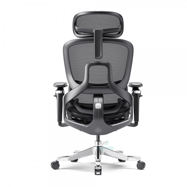 Ghế Công Thái Học Cao Cấp RC-1171E