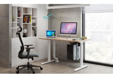THERE ARE MANY TYPES OF ERGONOMIC DESKS. HOW SHOULD WE CHOOSE?