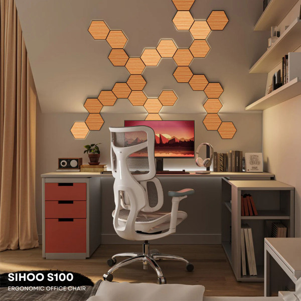 Ghế Công Thái Học Cao Cấp Doro S100