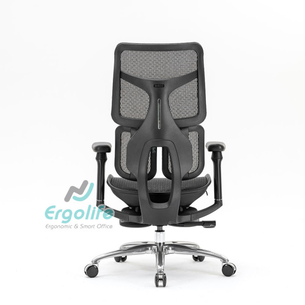 Ghế Công Thái Học Cao Cấp Doro S100