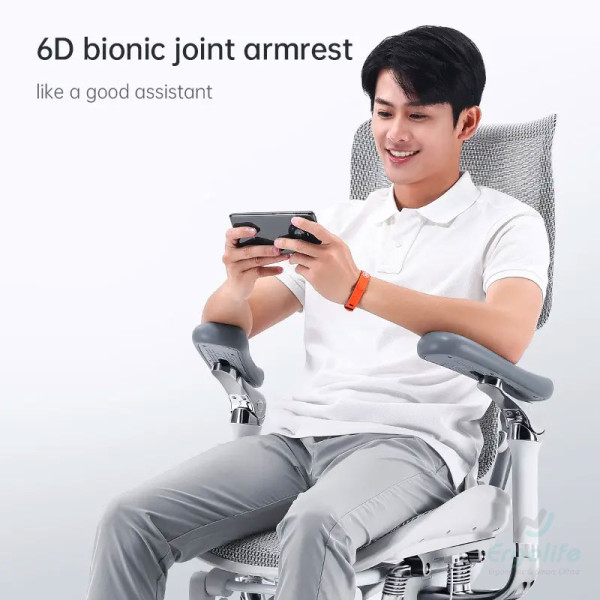 Ghế Công Thái Học Cao Cấp Doro S300 (AU) - Bản 2.0 2024