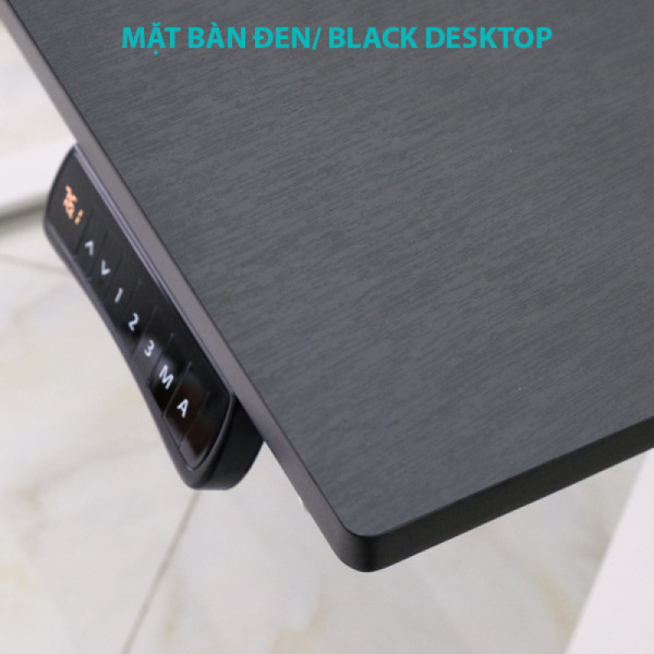 Bàn nâng hạ thông minh Ergonomic ED225E