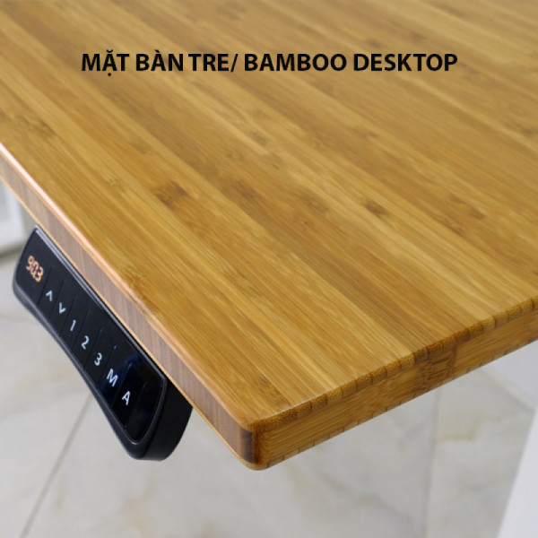 Bàn nâng hạ thông minh Ergonomic ED225E