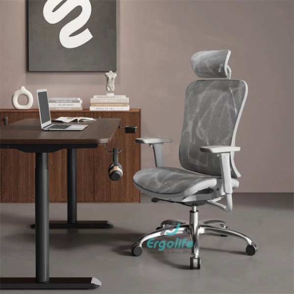Ghế Công Thái Học M57C Đen/Xám