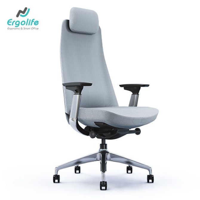 Ghế Công Thái Học Cao Cấp Goodtone Yucan