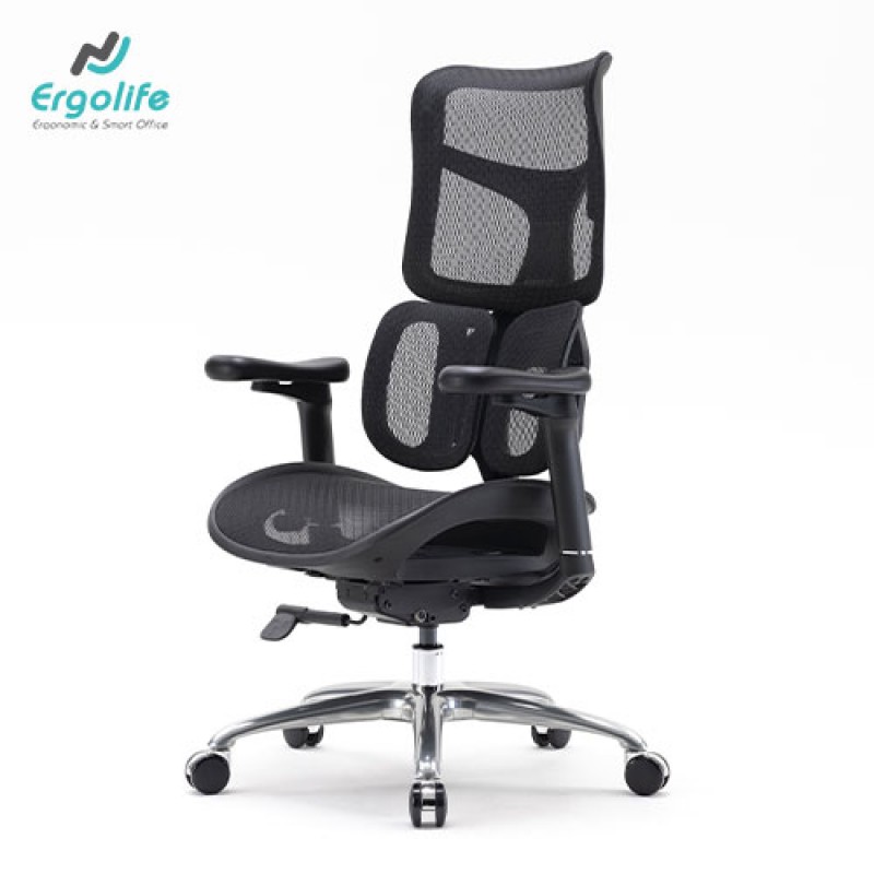 Ghế Công Thái Học Cao Cấp Doro S100